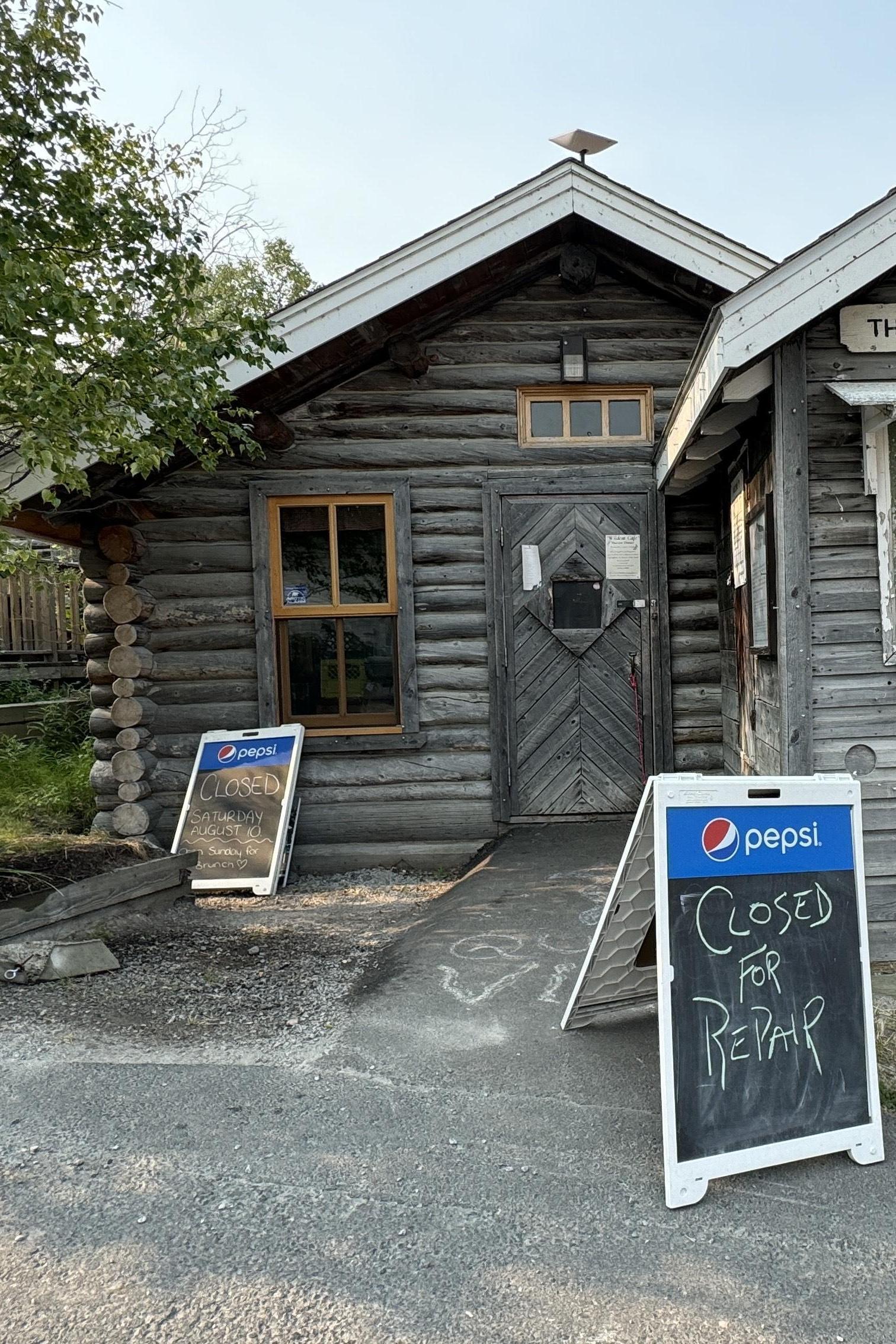 The Wild Cat Cafe